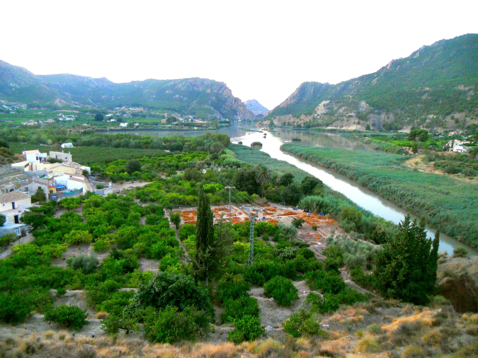 El río Segura a su paso por el Valle de Ricote, junto al Azud de Ojós